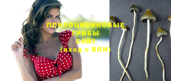 амфетамин Новозыбков