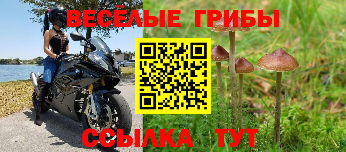Псилоцибиновые грибы мицелий Мирный