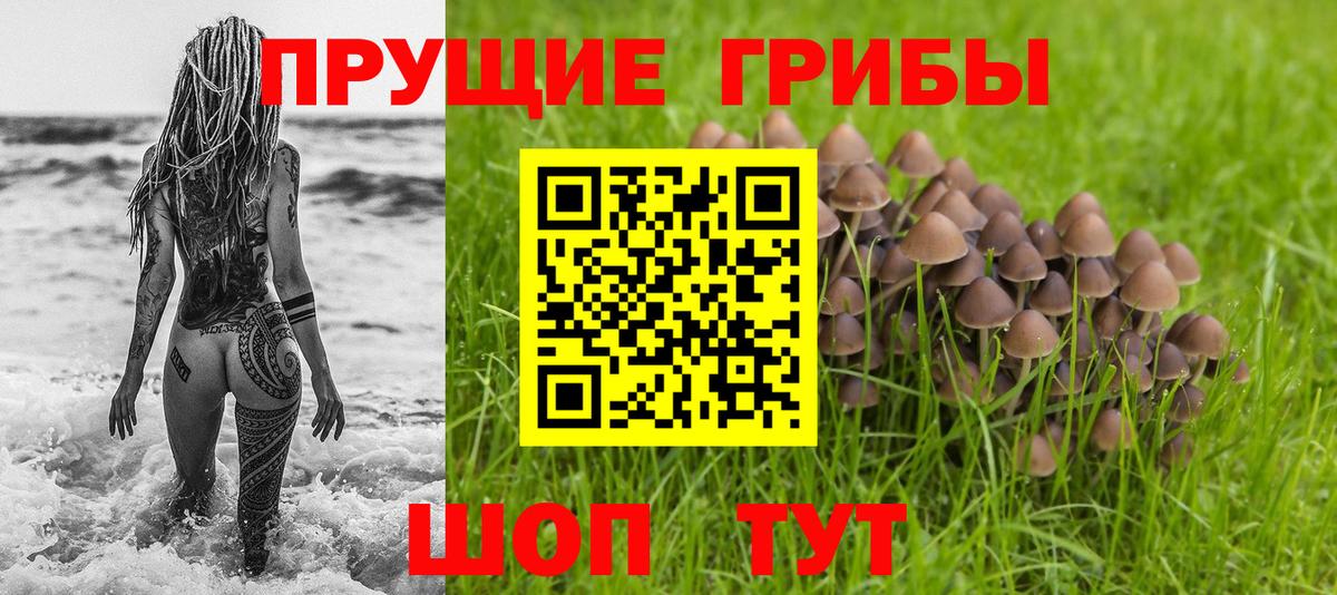 купить наркотики сайты  Псилоцибиновые грибы Psilocybe  Мирный  Вход с VPN  Галлюциногенные грибы мухоморы 