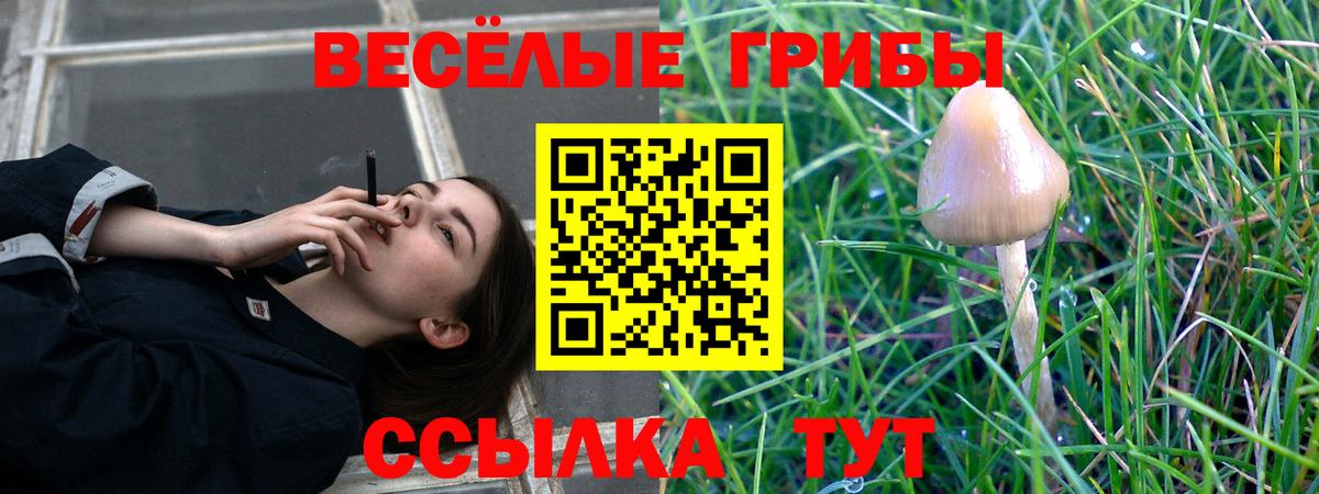 Галлюциногенные грибы мицелий Мирный